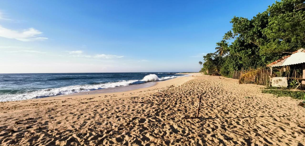 فندق ميريسافي  Surf Sea Breeze المظهر الخارجي الصورة