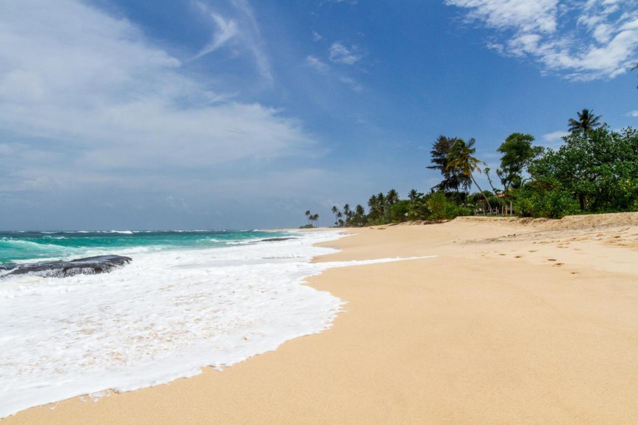 فندق ميريسافي  Surf Sea Breeze المظهر الخارجي الصورة